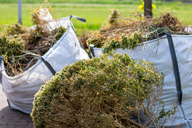 Best Junk Hauling Services  in Viola, IL